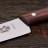 Кухонный разделочный нож Victorinox 5.2000.19 - Кухонный разделочный нож Victorinox 5.2000.19